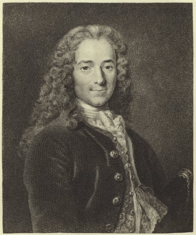 Voltaire da Nicolas de Largillière