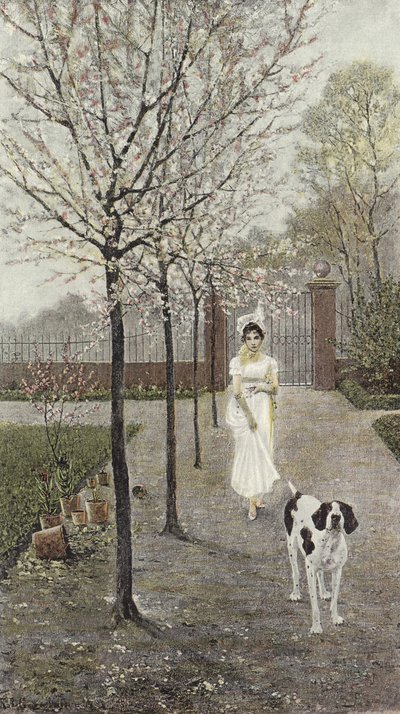 Fiori di primavera da Nicolaus Geiger