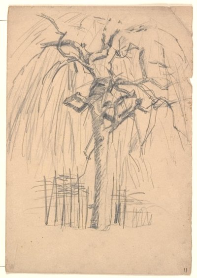 Un albero da Niels Larsen Stevns
