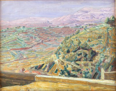 Vista dalla piazza del castello, Cagnes da Niels Larsen Stevns