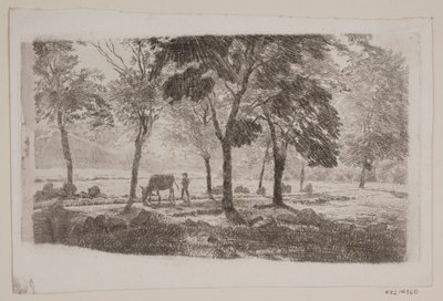 Viale da Niels Skovgaard
