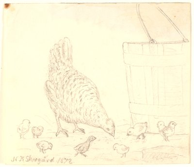 Una gallina con pulcini da Niels Skovgaard