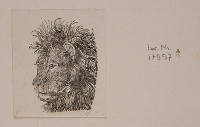 Testa di leone da Niels Skovgaard