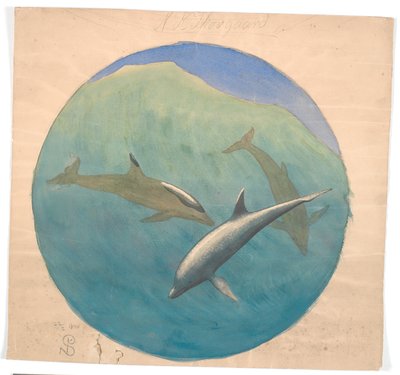 Delfini saltanti da Niels Skovgaard