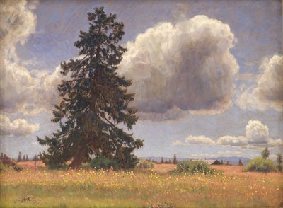 Abete in un Pascolo Estivo. Norvegia da Niels Skovgaard