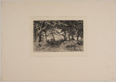Carro su strada forestale da Niels Skovgaard