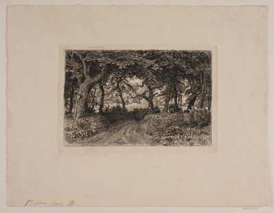 Carro sulla strada forestale da Niels Skovgaard