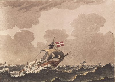 Una nave danneggiata, segnalando loots da Niels Truslew