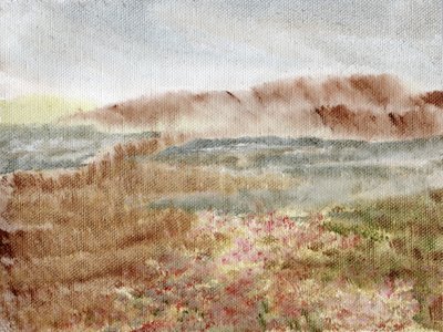 Erica delle montagne nebbiose da Nikita Jariwala