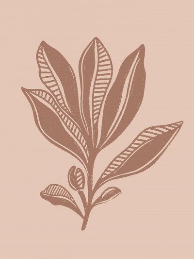 Disegno botanico naturale da Nikita Jariwala