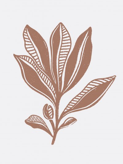 Schizzo botanico biologico da Nikita Jariwala