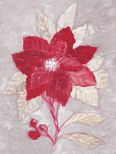 Poinsettia rossa con texture da Nikita Jariwala