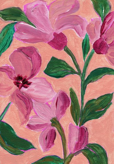 Fiori rosa dai colori vivaci da Nikita Jariwala