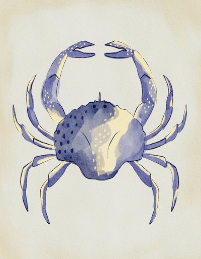 Granchio blu ad acquerello da Nikita Jariwala