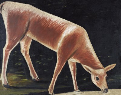 Capriolo che beve da Niko Pirosmani