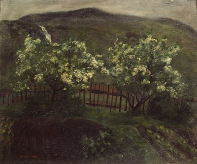 Pioggia primaverile e ciliegio da Nikolai Astrup