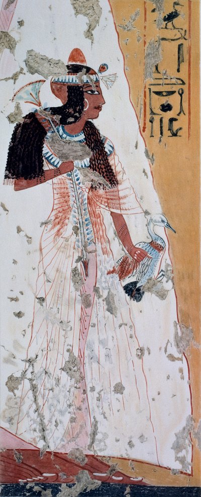 Giovane donna con anatra, copia dell