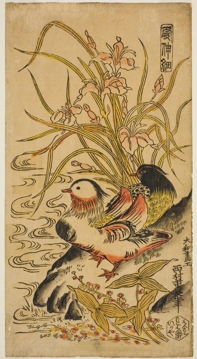 Anatre Mandarine, dalla serie "Kashinsai" da Nishimura Shigenaga