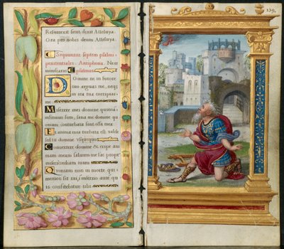 Fogli adiacenti da un libro d
