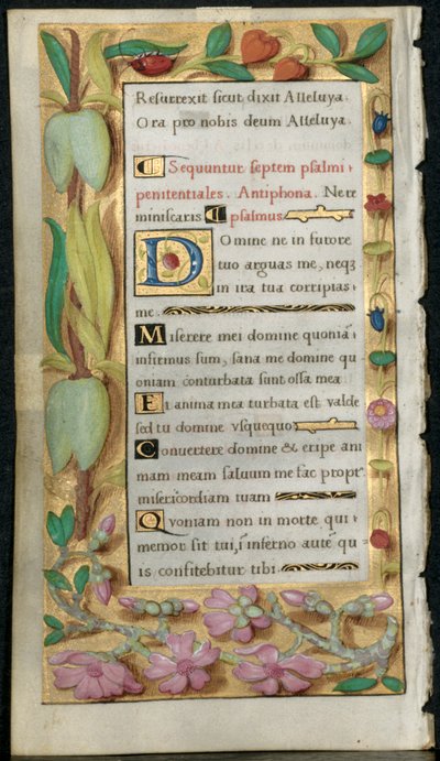 Foglio da un libro d