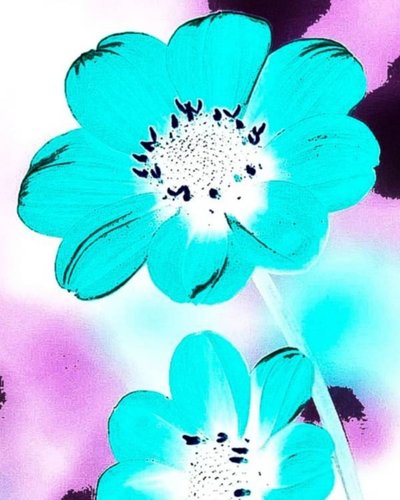 Fiore Blu da Nomi Morina