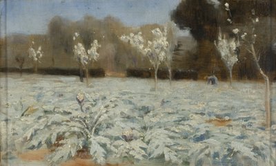 Carciofi, Hyeres da Norman Garstin
