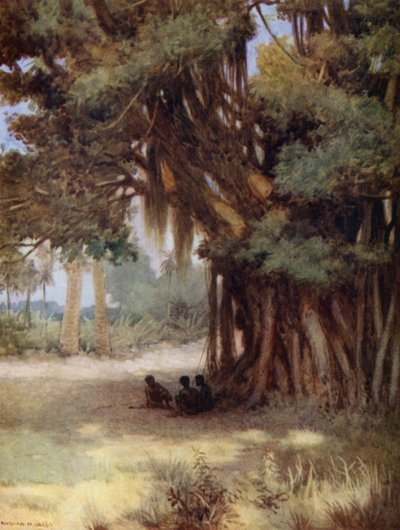 Sotto un Albero di Banyan, Isola di Malekula, Nuove Ebridi da Norman Hardy