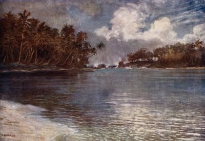 Tra la barriera corallina e la palma da Norman Hardy