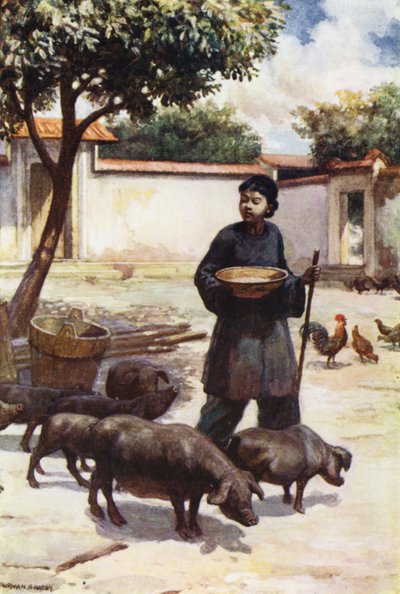 Cina: Un cortile da Norman Hardy