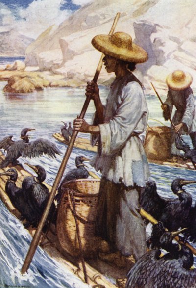 Cina: Pesca con i cormorani da Norman Hardy