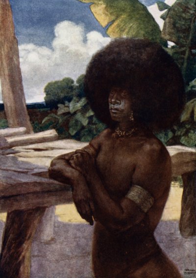 Nativo della Nuova Guinea britannica, mostrando il modo di portare i capelli da Norman Hardy