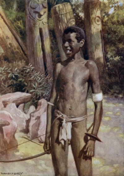 La guida dell