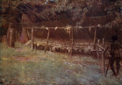 Il Terreno "M