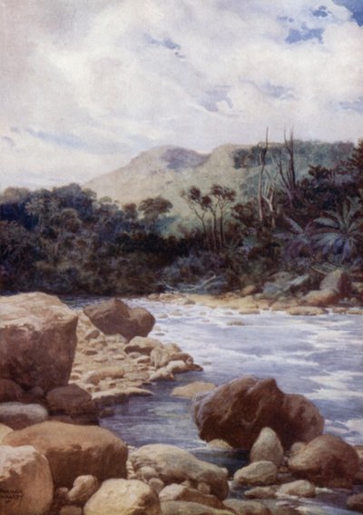 Le rapide, fiume Williams, isola di Eromanga, Nuove Ebridi da Norman Hardy