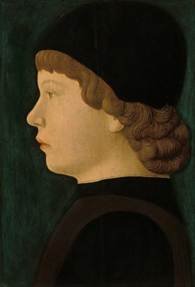 Ritratto di Profilo di un Ragazzo da North Italian 15th Century