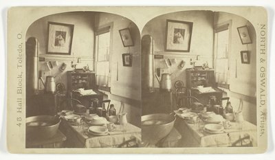 Senza titolo [interno], 1865-1882 da North and Oswald