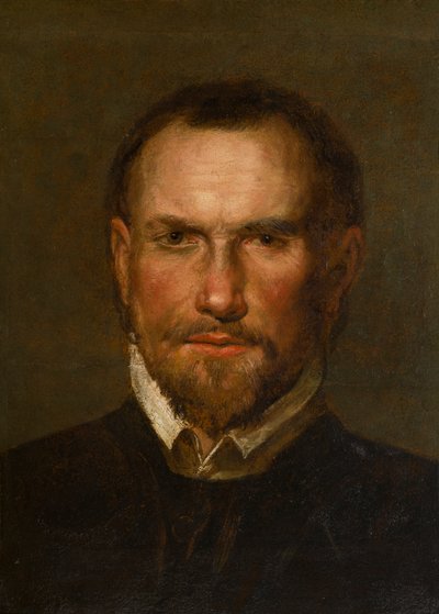 Ritratto di un uomo barbuto sconosciuto, c.1501-99 da Northern Italian School