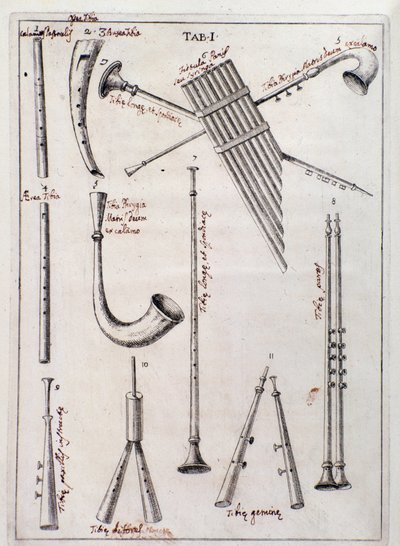 Strumenti a fiato. Pagina da "de Tribus Generibus Instrumentorum Musicae Veterum", opera sugli strumenti antichi di Francesco Bianchini da Northern Italian School