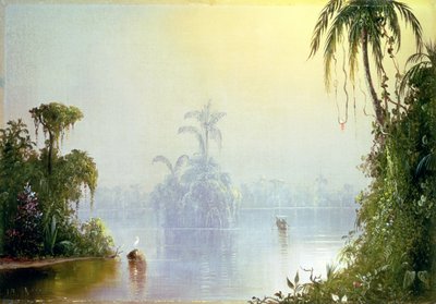 Foschia tropicale, 1879 da Norton Bush