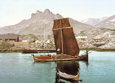 Barca Nordland che trasporta un carico di tronchi, Norvegia da Norwegian Photographer
