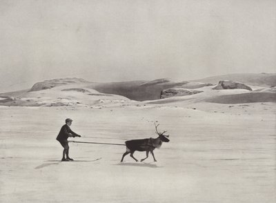 Sci con renne sulle montagne da Norwegian Photographer