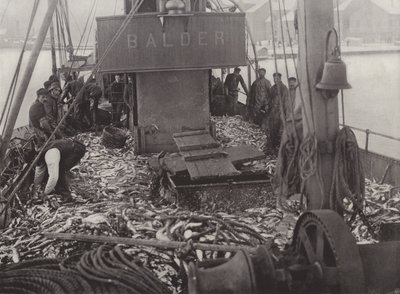 Pesca delle aringhe in inverno da Norwegian Photographer