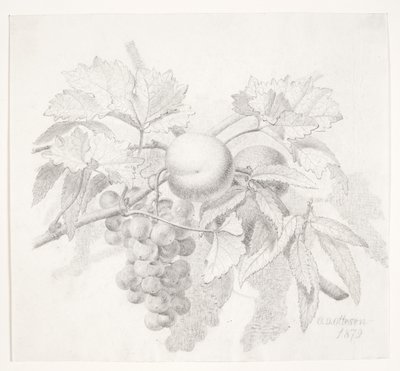 Uva e pesche da O.D. Ottesen