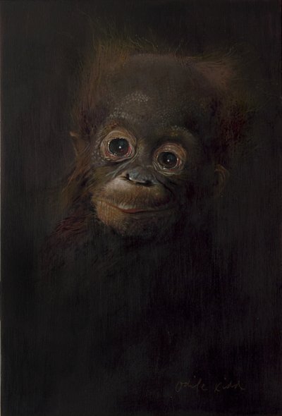 Baby orangutan 1, 2009 (acrilico su legno) da Odile Kidd