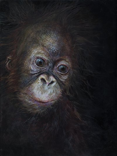Baby orangutan 3, 2015 (acrilico su legno) da Odile Kidd