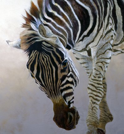 Equus burchelli 2 (particolare), 2010 (acrilico su tela) da Odile Kidd