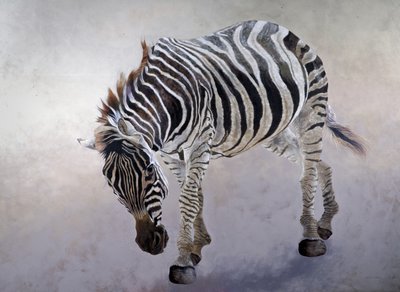 Equus burchelli 2, 2010 (acrilico su tela) da Odile Kidd