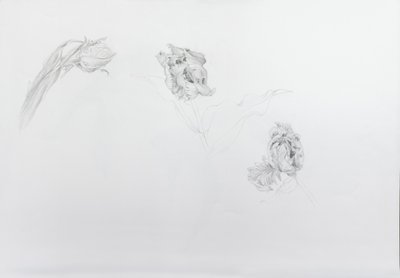 Estella rijnveld 1, 2013 (matita su carta da cartucce) da Odile Kidd
