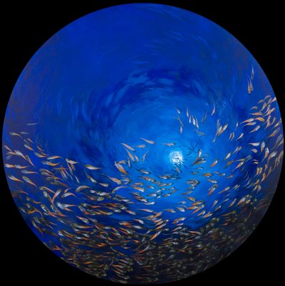 Pesce di vetro 2, 2009 (acrilico su lino e legno) da Odile Kidd