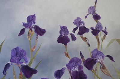 Iris hybrida (dettaglio), 2015 (acrilico su legno gesso) da Odile Kidd